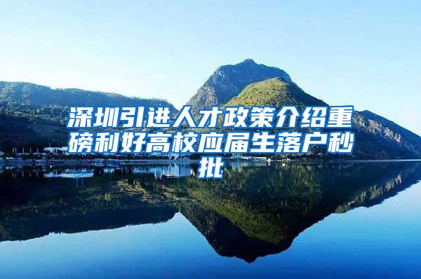 深圳引进人才政策介绍重磅利好高校应届生落户秒批