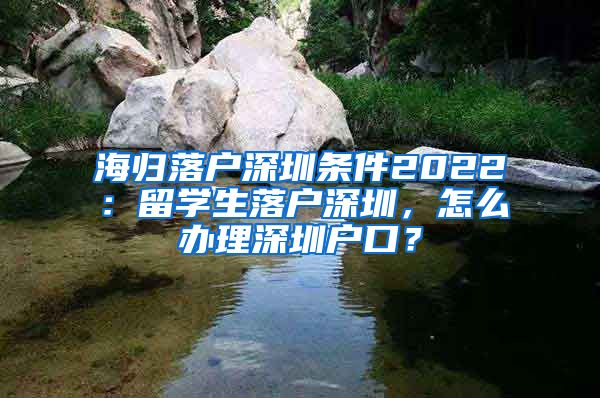 海归落户深圳条件2022：留学生落户深圳，怎么办理深圳户口？