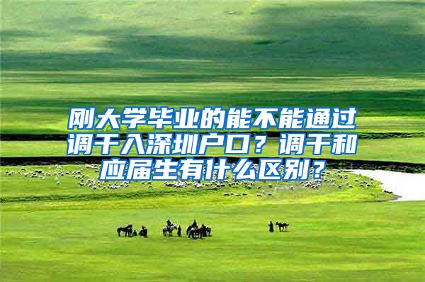刚大学毕业的能不能通过调干入深圳户口？调干和应届生有什么区别？