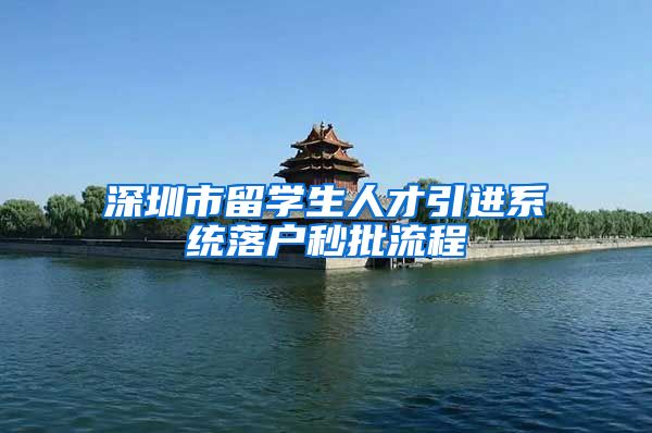 深圳市留学生人才引进系统落户秒批流程