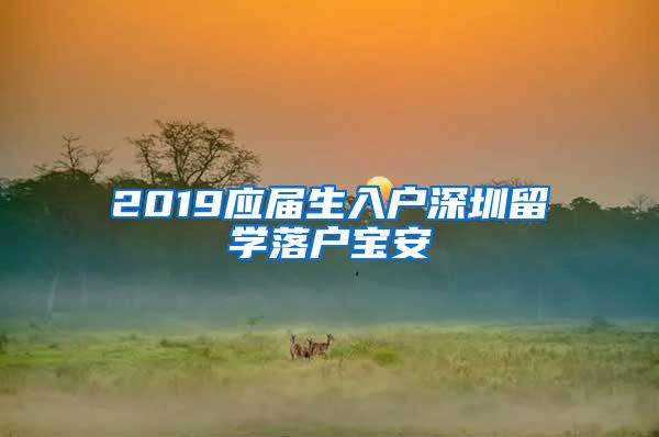 2019应届生入户深圳留学落户宝安