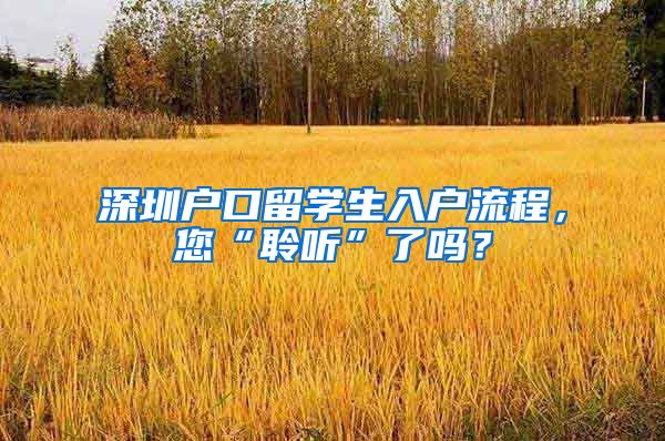深圳户口留学生入户流程，您“聆听”了吗？