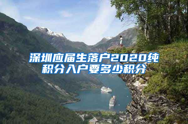 深圳应届生落户2020纯积分入户要多少积分