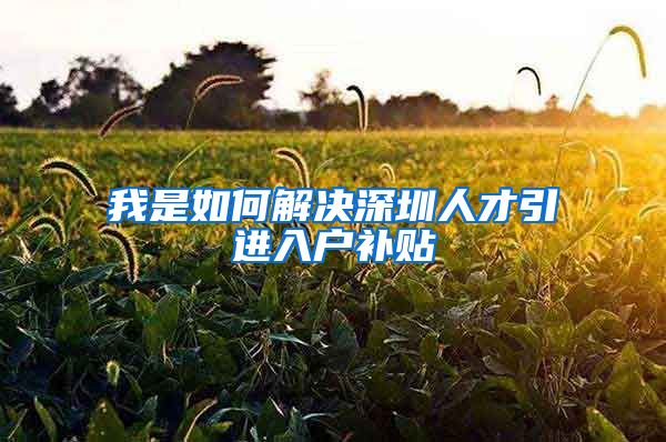 我是如何解决深圳人才引进入户补贴