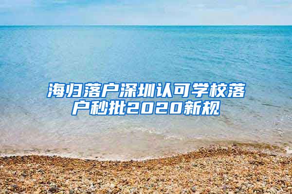 海归落户深圳认可学校落户秒批2020新规