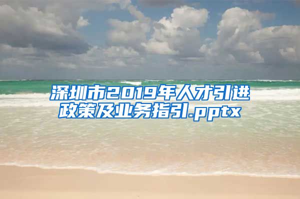 深圳市2019年人才引进政策及业务指引.pptx