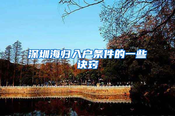深圳海归入户条件的一些诀窍