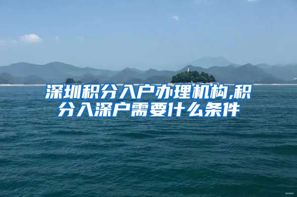 深圳积分入户办理机构,积分入深户需要什么条件