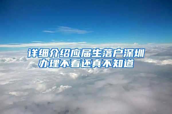 详细介绍应届生落户深圳办理不看还真不知道
