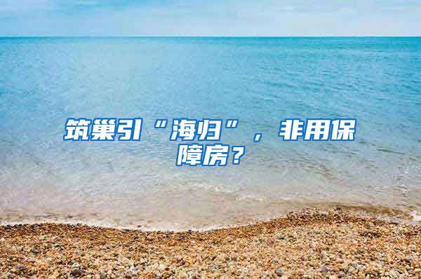 筑巢引“海归”，非用保障房？