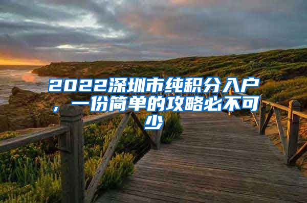 2022深圳市纯积分入户，一份简单的攻略必不可少