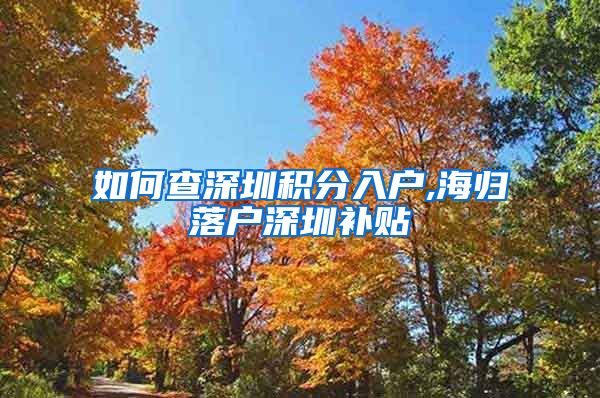 如何查深圳积分入户,海归落户深圳补贴