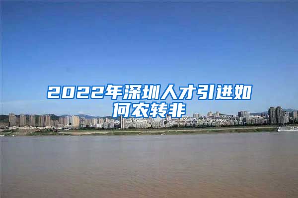 2022年深圳人才引进如何农转非