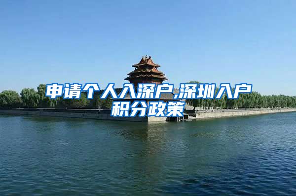 申请个人入深户,深圳入户积分政策