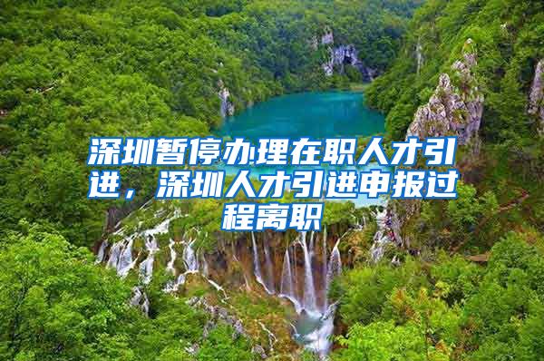 深圳暂停办理在职人才引进，深圳人才引进申报过程离职