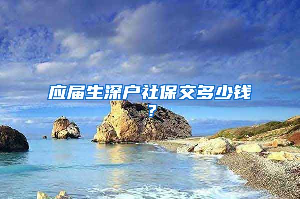 应届生深户社保交多少钱？