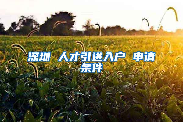 深圳 人才引进入户 申请条件