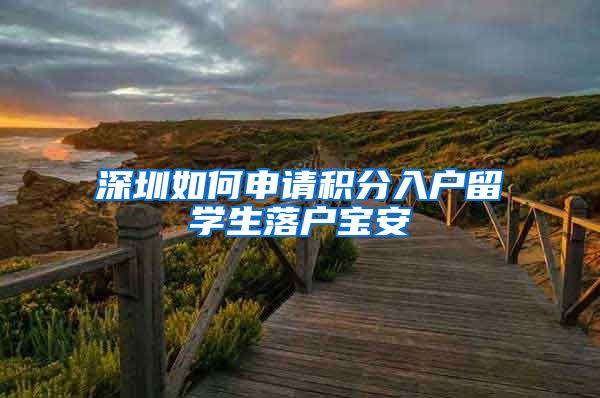 深圳如何申请积分入户留学生落户宝安