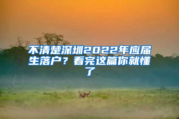 不清楚深圳2022年应届生落户？看完这篇你就懂了