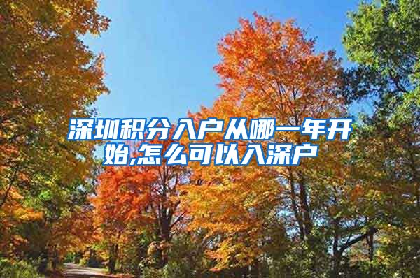 深圳积分入户从哪一年开始,怎么可以入深户