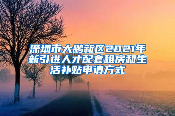 深圳市大鹏新区2021年新引进人才配套租房和生活补贴申请方式