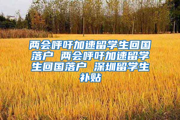 两会呼吁加速留学生回国落户 两会呼吁加速留学生回国落户 深圳留学生补贴