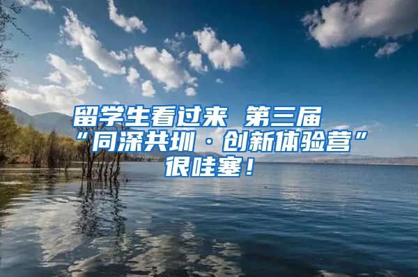 留学生看过来 第三届“同深共圳·创新体验营”很哇塞！