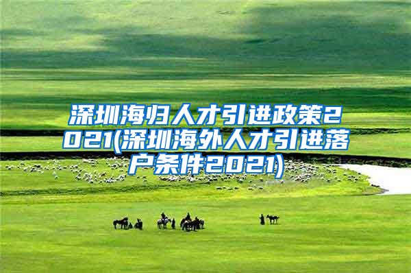 深圳海归人才引进政策2021(深圳海外人才引进落户条件2021)