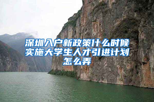 深圳入户新政策什么时候实施大学生人才引进计划怎么弄