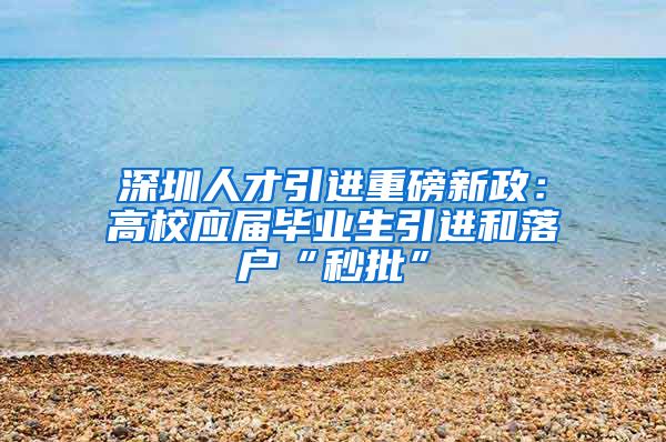 深圳人才引进重磅新政：高校应届毕业生引进和落户“秒批”