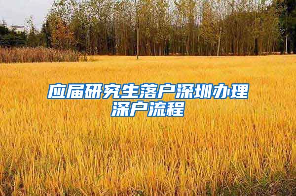 应届研究生落户深圳办理深户流程