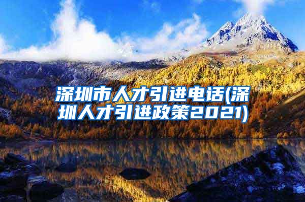 深圳市人才引进电话(深圳人才引进政策2021)