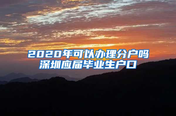 2020年可以办理分户吗深圳应届毕业生户口