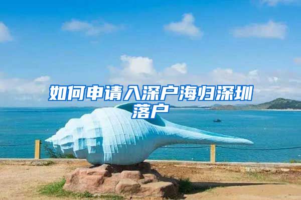 如何申请入深户海归深圳落户