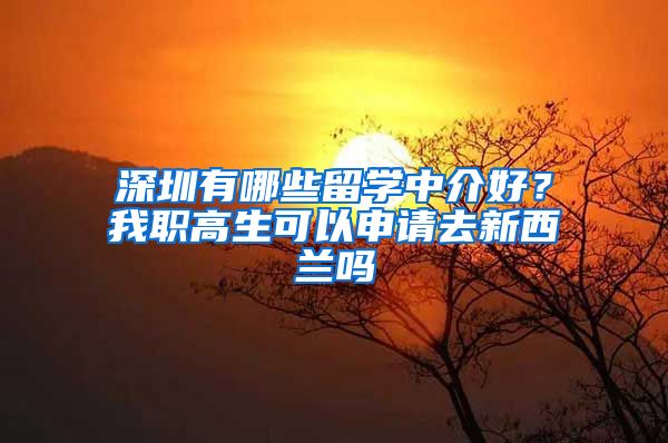 深圳有哪些留学中介好？我职高生可以申请去新西兰吗