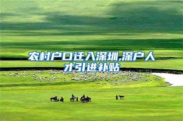 农村户口迁入深圳,深户人才引进补贴
