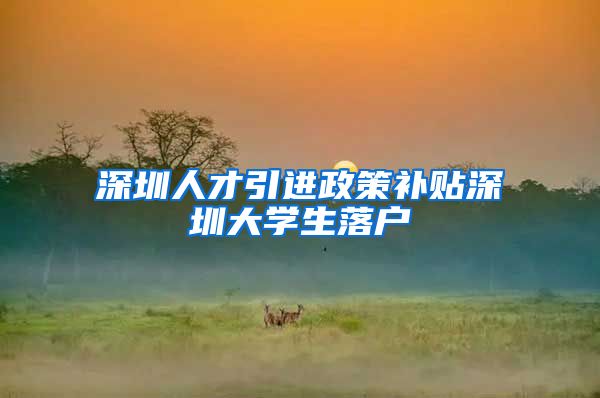 深圳人才引进政策补贴深圳大学生落户