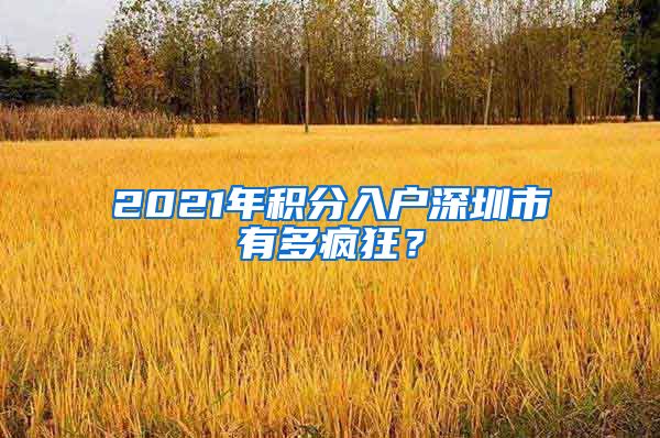 2021年积分入户深圳市有多疯狂？