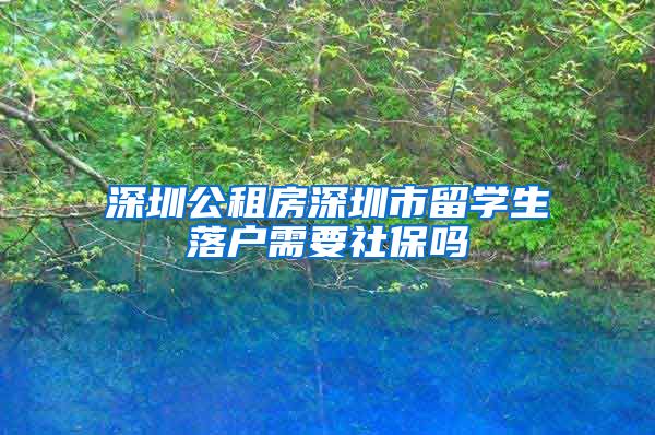 深圳公租房深圳市留学生落户需要社保吗
