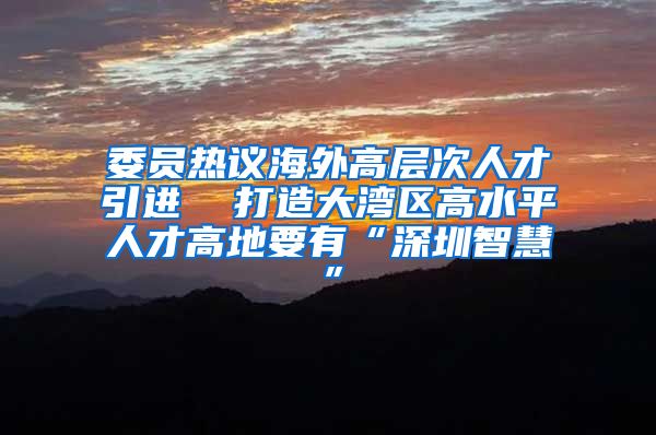委员热议海外高层次人才引进  打造大湾区高水平人才高地要有“深圳智慧”