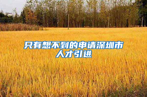 只有想不到的申请深圳市人才引进
