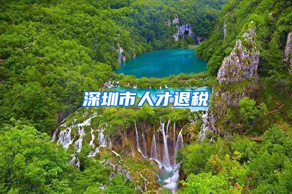 深圳市人才退税