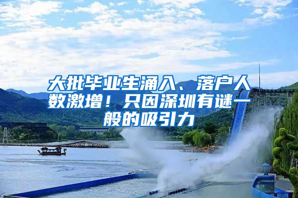 大批毕业生涌入、落户人数激增！只因深圳有谜一般的吸引力