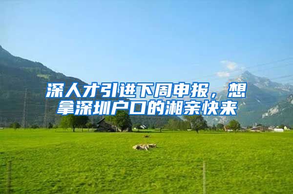 深人才引进下周申报，想拿深圳户口的湘亲快来