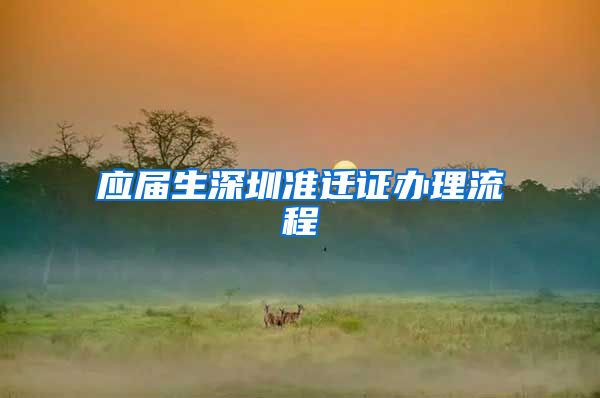 应届生深圳准迁证办理流程