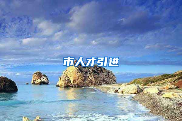 市人才引进