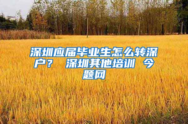 深圳应届毕业生怎么转深户？ 深圳其他培训 今题网