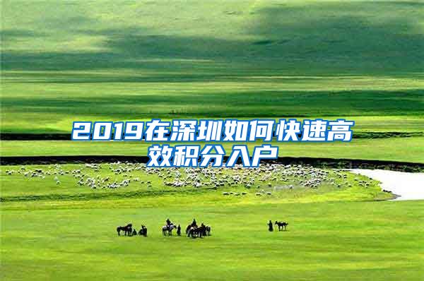 2019在深圳如何快速高效积分入户