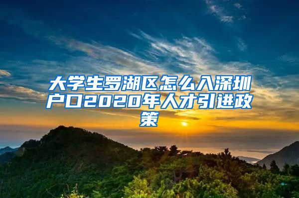 大学生罗湖区怎么入深圳户口2020年人才引进政策