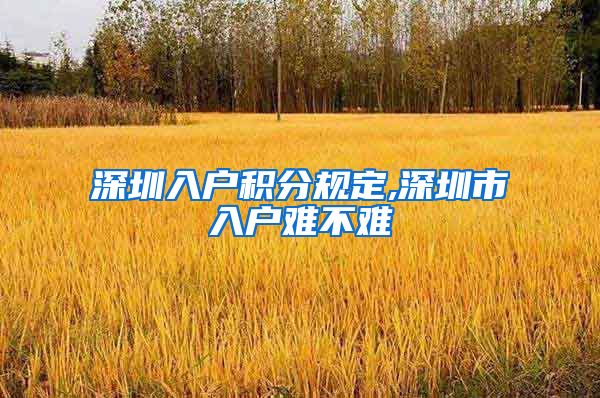 深圳入户积分规定,深圳市入户难不难